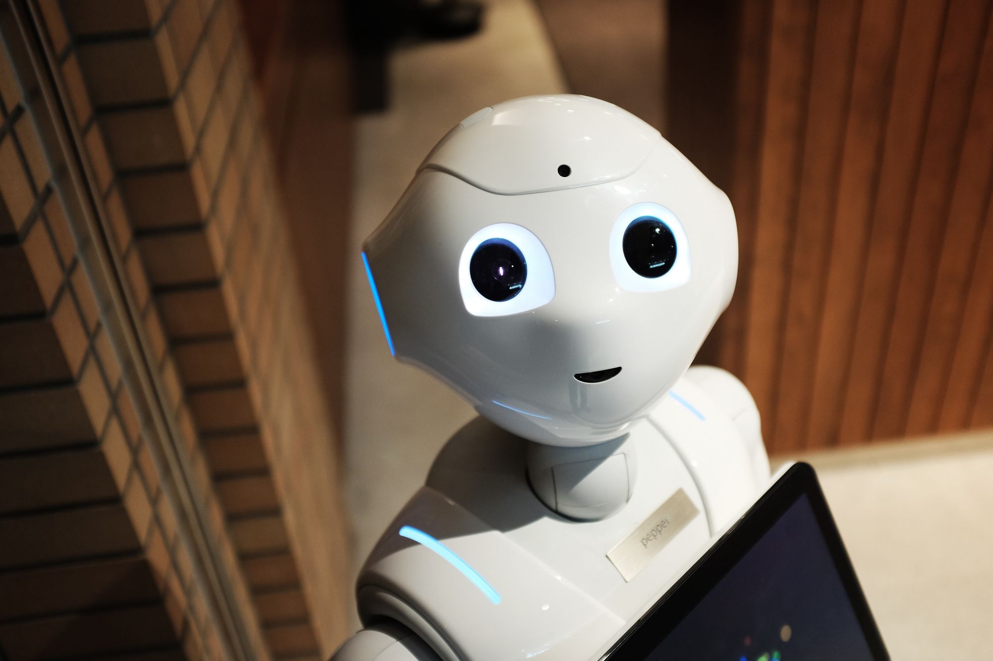Photo of humanoid robot looking at camera